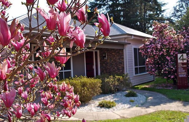 4 Anderson - In the Heart of Bright - Foto 14