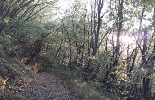 LA TANA DEL PICCHIO - Photo 39