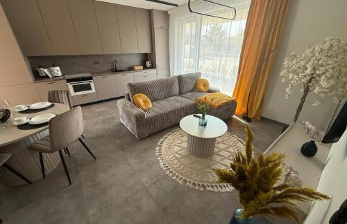 Luna Apartament Łagów Klima Smart Tv - Foto 17