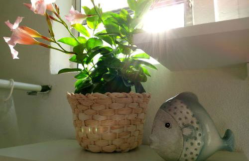 Recanto da Frida - Foto 23