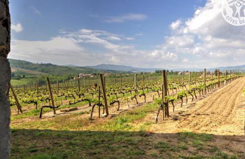 Gîte Studio avec Terrasse Privée au Cœur du Vignoble - FR-1-496-116 - Foto 3