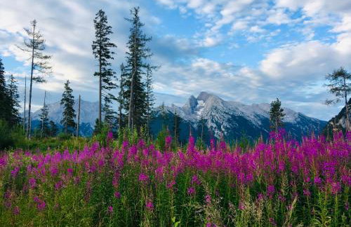 Ferienwohnung Edelweiß - Haus Martin - Foto 13