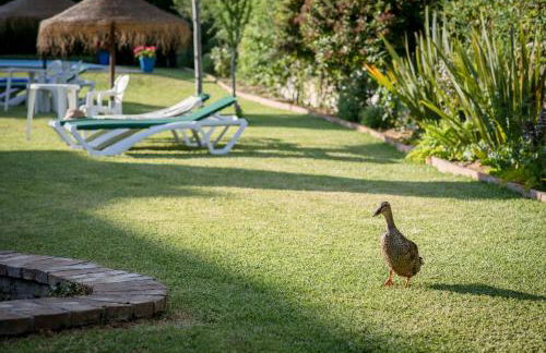 Al Agia - Molino Mísqueres de Padul - Foto 25