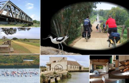 Playa Eucaliptos 1A - Foto 40