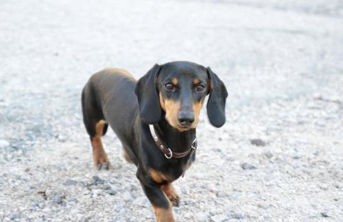 Ferienhof Giedensbach - Photo 18