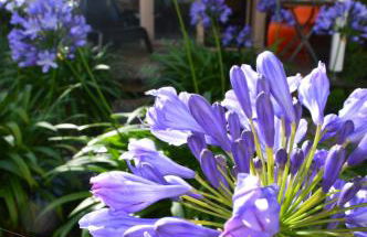 Ferienwohnung Winzerloft - Foto 27