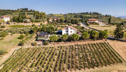 Sole Verde green house - Foto 4