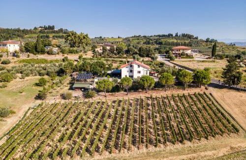 Sole Verde green house - Foto 4