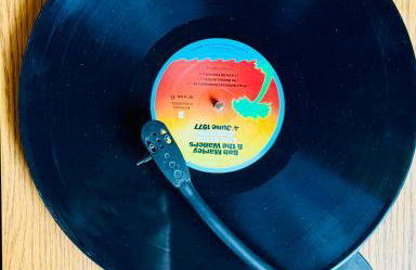 Luxury Ojai Escape Pool, Jacuzzi & Tennis Court - Foto 44