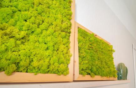 Casa Dei Marinai-Oceanview - Foto 12