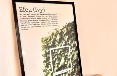 Gemütliches und vollausgestattetes Apartment - Foto 4