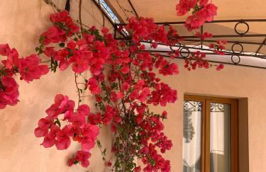 Vista di Sognu - Foto 35