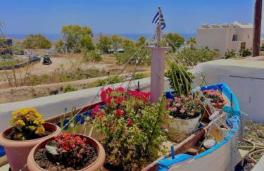 Rosalia Studio Megalochori - Foto 44