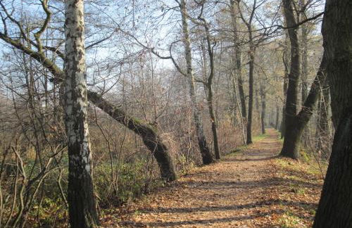 Spreewaldhaus zum Schoberplatz - Foto 9