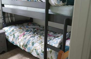 Fern's Lodge 29 Tower Country Chalet Park - Photo 7