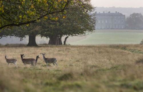 The Mews Pet Friendly and Parking - Foto 14