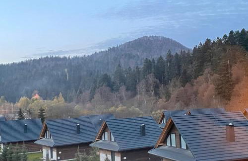 Jabłonki Resort&Spa - Foto 67