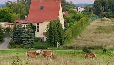 Ruhe und Erholung 1h von Berlin - Foto 5