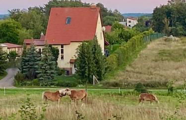 Ruhe und Erholung 1h von Berlin - Foto 5