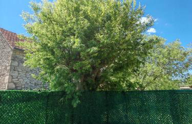 Božini dvori - Foto 8