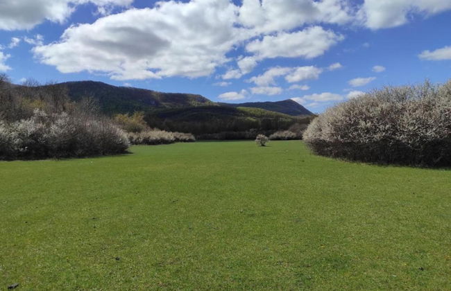 Quiet Country Side Cottage with Private Garden & WiFi near Nature Park Velebit - Foto 30