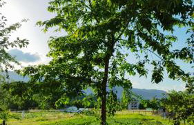 Urocze Apartamenty - Foto 47