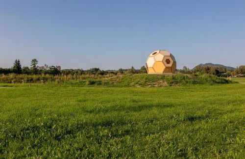 Der Bienenkorb - Foto 29