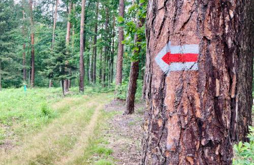 Uroczysko Lubiaszów - Foto 14