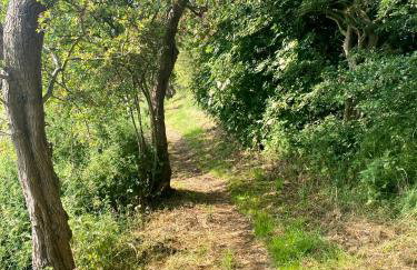 Two Bedroom Country Cottage in County Durham with Village Pub and Free Parking For Holidays and Work Stays - Foto 27