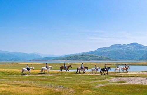 Cefn-Y-Maes - Foto 29