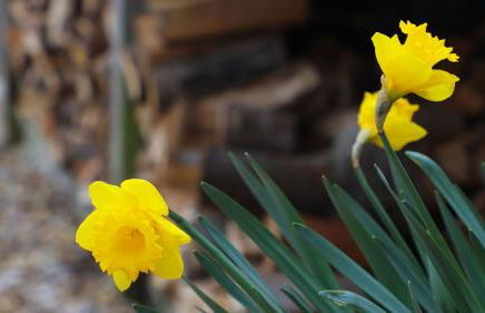 The Old Piggery - Foto 27