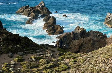 Casa Cactus - heated pool and only 5 boutique apartments - Foto 48