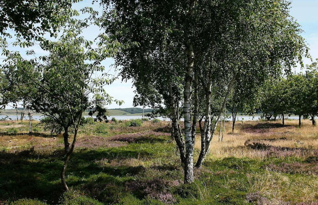 8 Person Holiday Home in Hojslev-by Traum - Foto 29