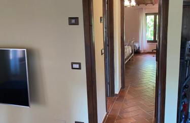 Rosa di Maggio - Foto 13