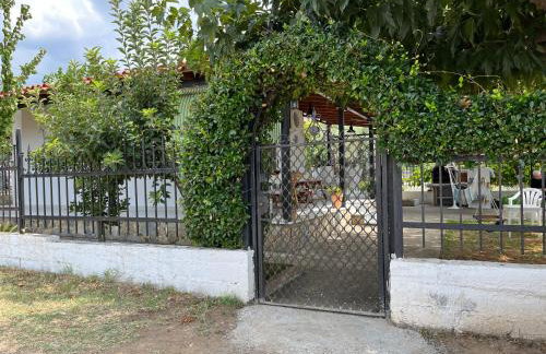 G&S Beach House - Photo 3