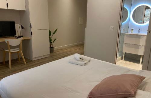 Maison COLODGE - TREVOUX - Foto 62