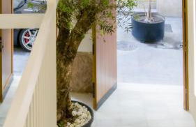 Catalina Suites Apartments Downtown Valencia - Foto 17