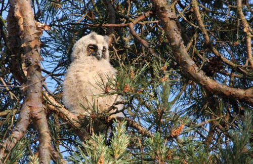 Ferienhaus Piratenburg Rövershagen - Photo 32