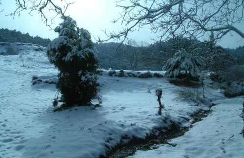 La casa de la Luz - Foto 37