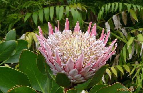 El Tangaro - Foto 40