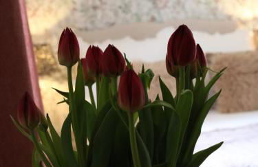 Falkaunest cozy Apartment mit Sauna am Feldberg - Foto 60