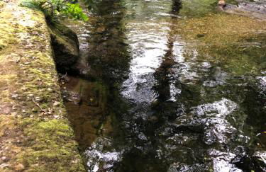 Casa Rural Madreselva - Foto 103