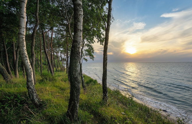 Sea Shell Apartments Łukęcin - Photo 21