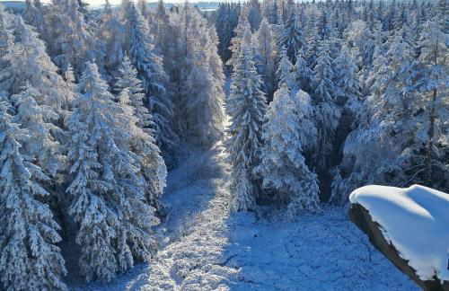 Gemütliche Ferienwohnung mit Sauna und Balkon im Zentrum von Bad Elster - Photo 21