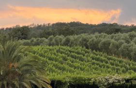 Agriturismo I Tre Fossi - Foto 6