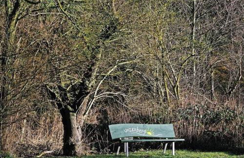 Apartment Appartement in Unzenberg Hunsrück by Interhome - Foto 16