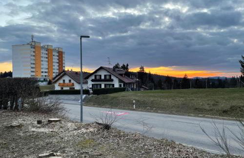 Dreisessel Dreiländereck Pool Sauna - Foto 16