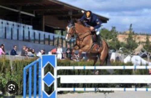 Apto con piscina y barbacoa - Foto 18