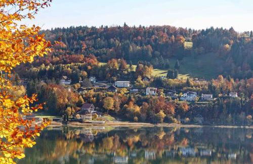 Chalet Charmant rénové au bord du Lac St Point - Foto 47