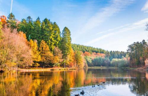 The Owl House Cottage - Foto 35